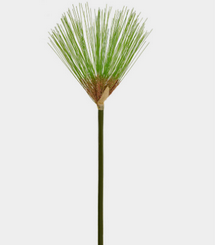 Papiro Haste 74x13cm