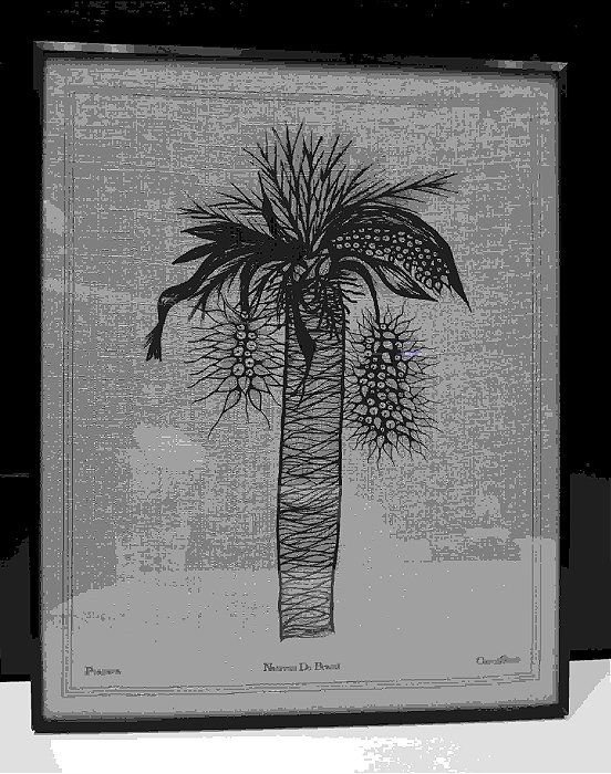 Quadro Madeira Tecido Linho Botânico II 41x51x3 CM - CAROL SIMÓ