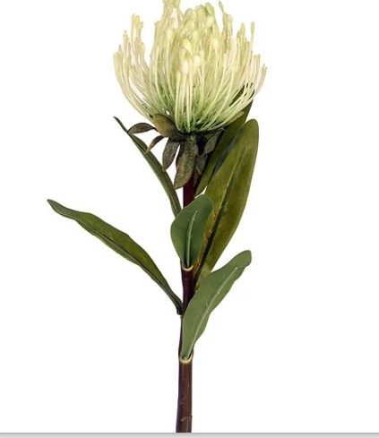 Protea Spray Com Folha Branco