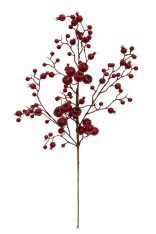 Haste De Cereja Com Folhas G