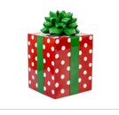 Gift Box Em Resina Vermelho e Branco