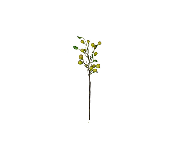 Haste De Pera 88cm