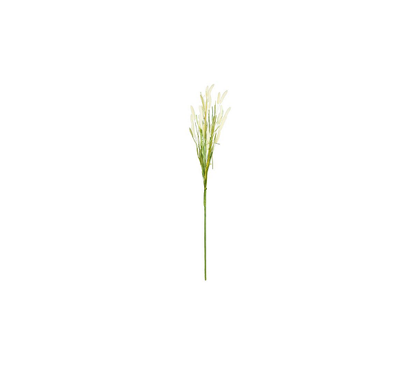 Haste De Foxatil Creme 70cm