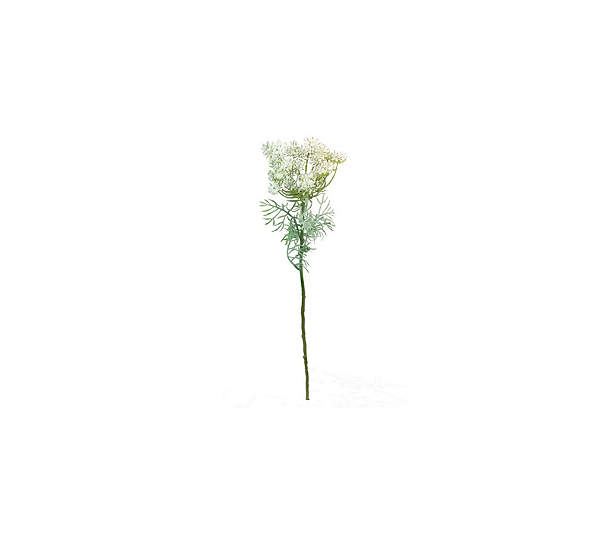 Flor De Cenoura Branco 65cm