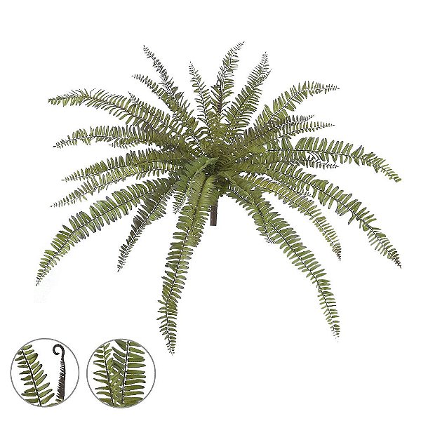 SAMAMBAIA (VERDE ROXA) G