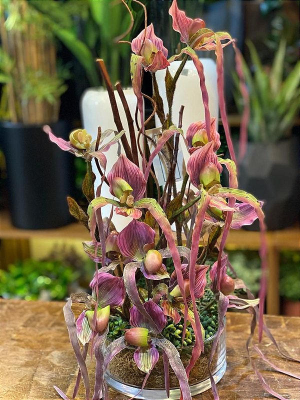 Arranjo de orquídeas sapatinho - Eterna Flor | Plantas Permanentes |  Florianópolis, SC
