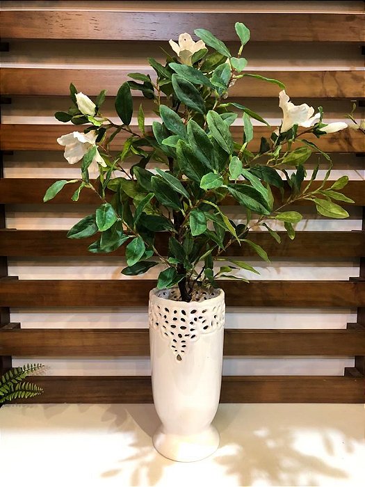 Vaso de cerâmica com azaleia - Eterna Flor | Plantas Permanentes |  Florianópolis, SC