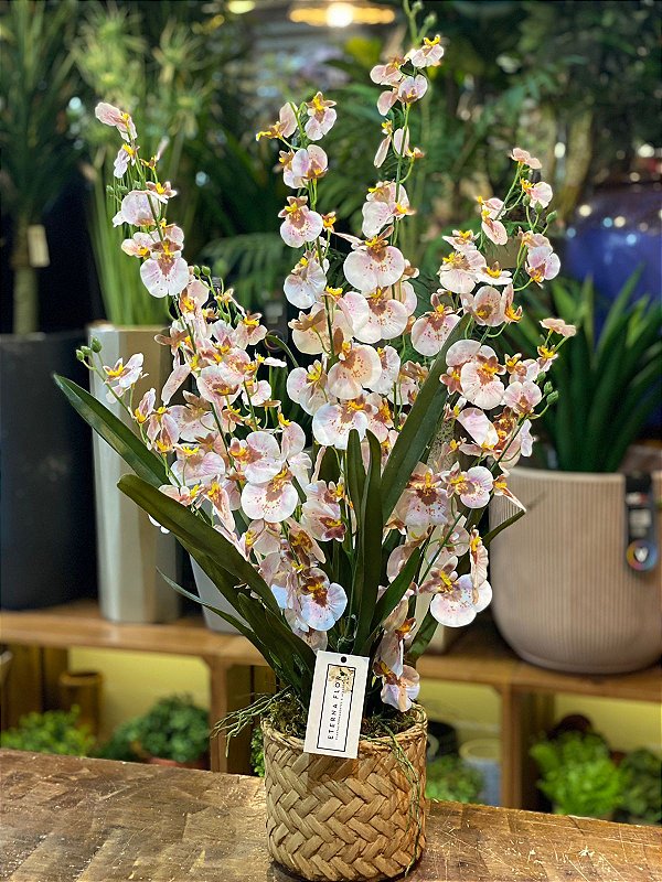 Arranjo orquídeas oncidium rosa em vaso cesta cimento - Eterna Flor |  Plantas Permanentes | Florianópolis, SC