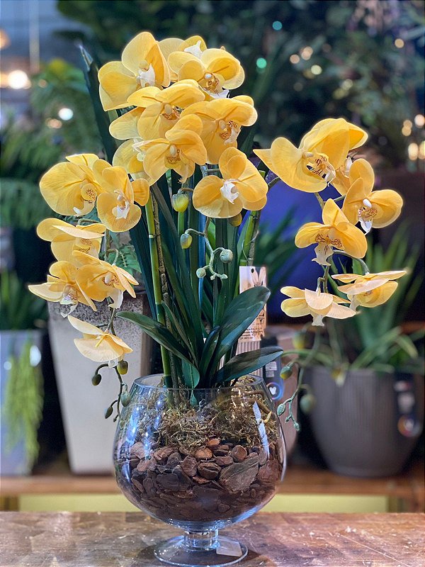 Arranjo de orquídeas amarelas