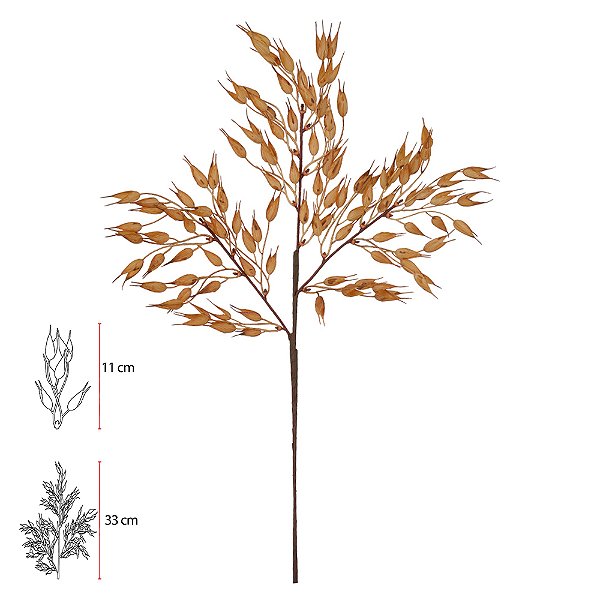 AVEIA (CARAMELO) 66cm