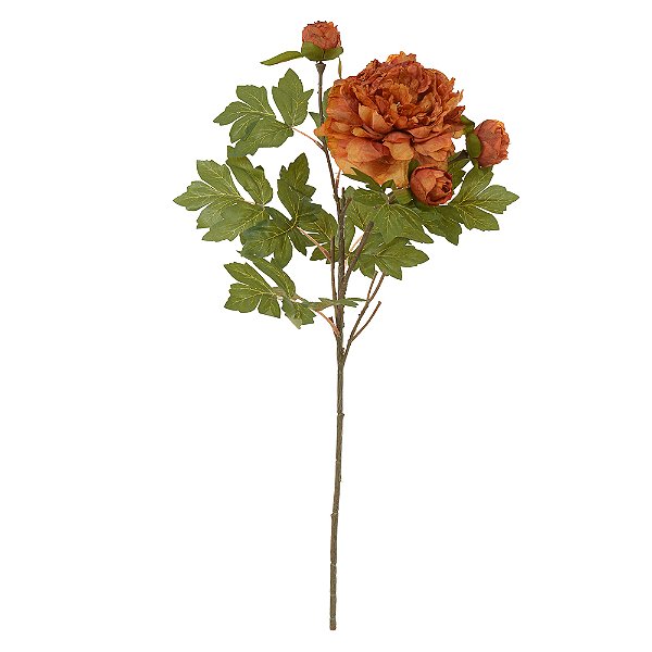 PEONIA X4 (OCRE OUTONO) 63cm