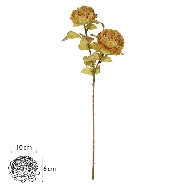PEONIA X2 (CHA OUTONO) 72cm
