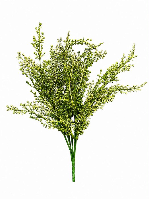 BERRY SEMENTE (VERDE) 36cm