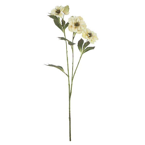 HELEBOROS REAL TOQUE (CREME OUTONO) 65cm