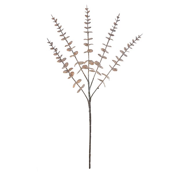 GALHO EUCALIPTO (CHA OUTONO) 60cm