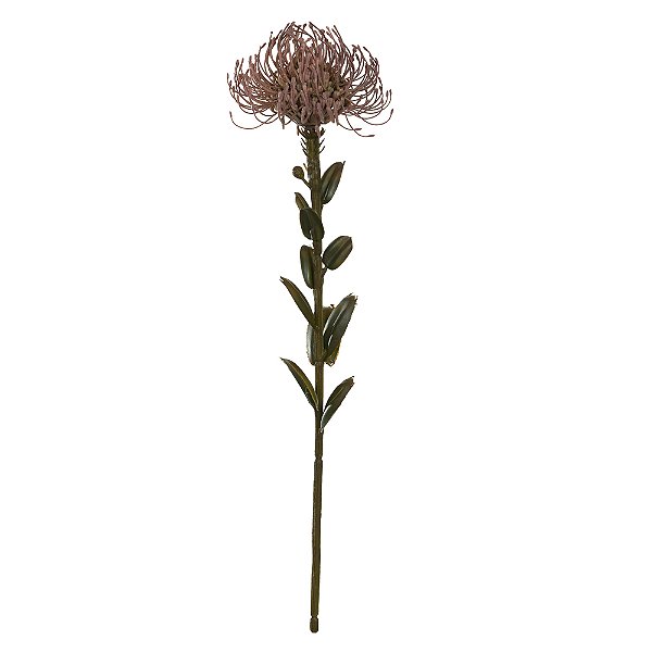 PROTEA (MARSALA) 60cm