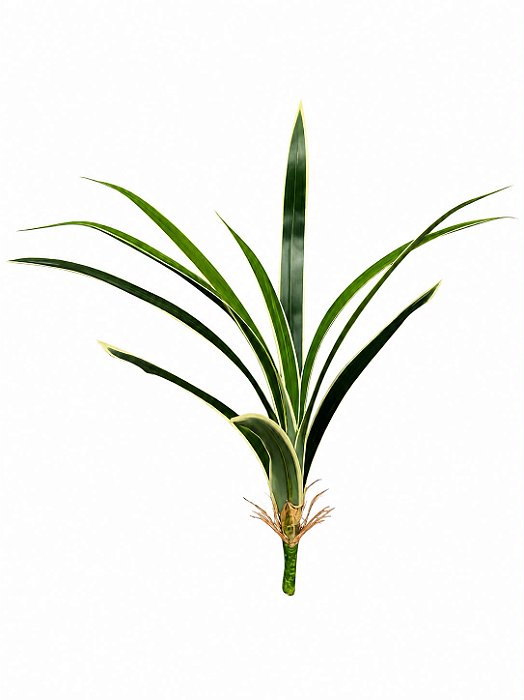 FOLHA ORQUIDEA CYMBIDIUM (VERDE CREME) 59cm