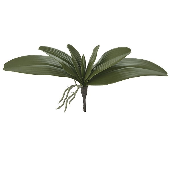 FOLHA ORQUIDEA PHALAENOPSIS X5 (VERDE) 32cm