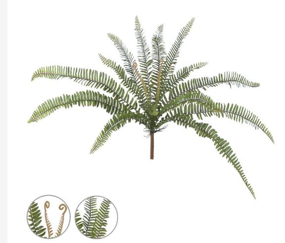 SAMAMBAIA MEDIA (VERDE) 65cm