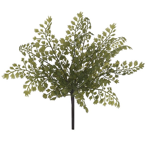AVENQUINHA (VERDE) 28CM