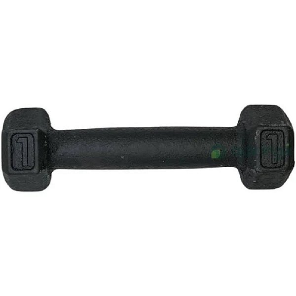Halter de Ferro 1KG