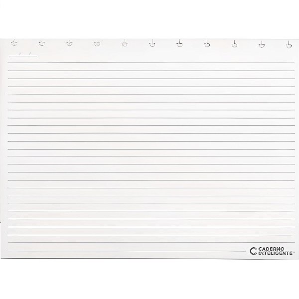 REFIL PAUTADO HORIZONTAL CADERNO INTELIGENTE GRANDE