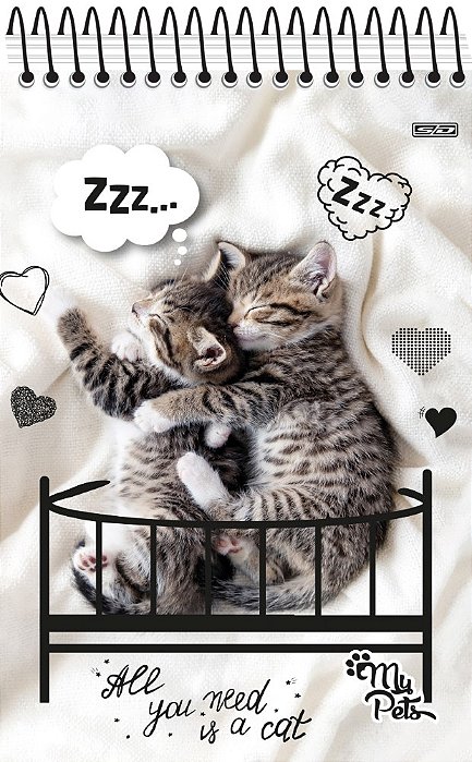 Cad Cd 1/4 My Pets 80f 10327 Sd