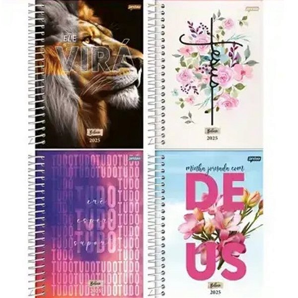 Agenda Diaria Believe Jandaia 74719