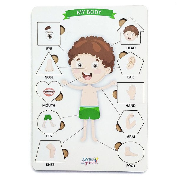 Brinquedo Educativo Tabuleiro Encaixe Inglês Corpo Humano Menino  Mdf - Mega Impress