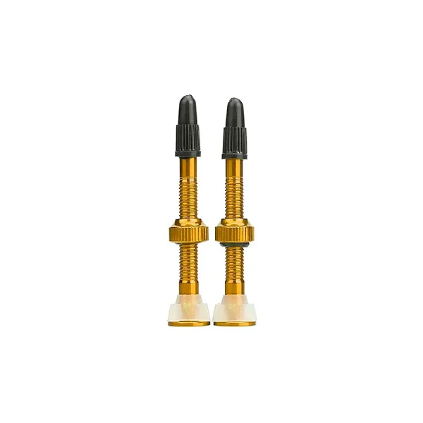 Válvulas Absolute Tubeless Dourrado 48mm 2 Unidades
