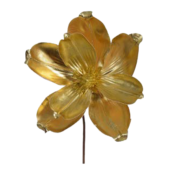 H.Magnolia Florarte 26CM Dourada