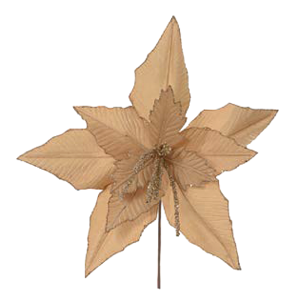 H.Bico Papagaio Florarte Creme