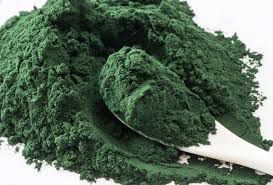 Spirulina Pó 50g