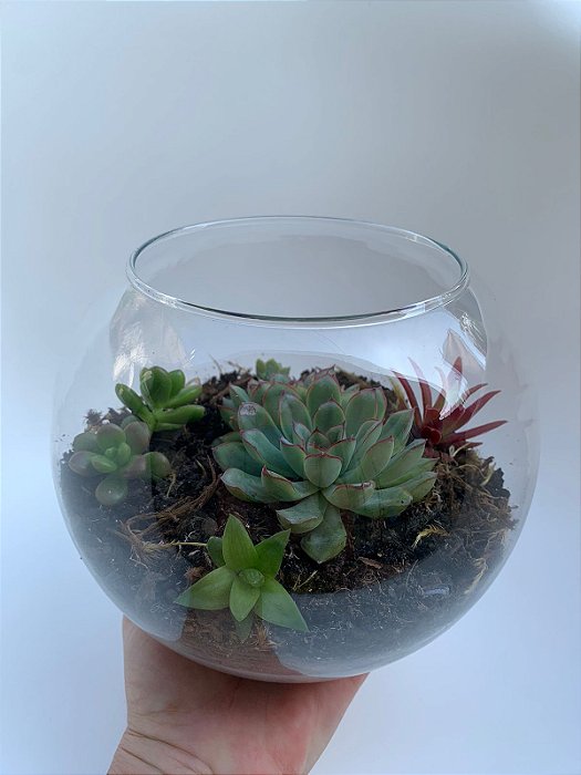 Terrário de Vidro
