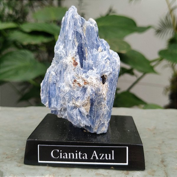 Cianita Azul Bruta - Base Madeira