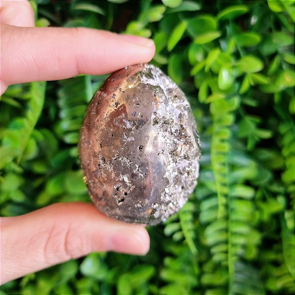 Ovo Pirita Peruana