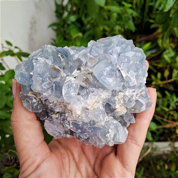 Celestita Bruta