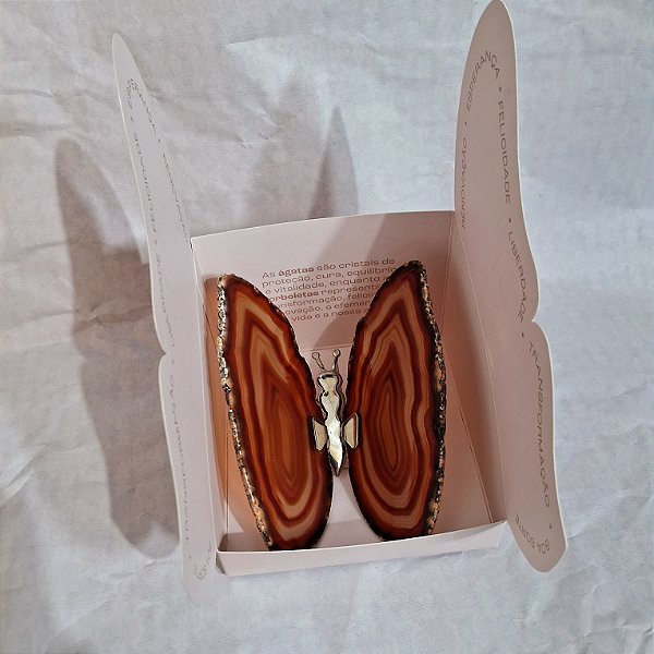 Borboleta Ágata Marrom - Coleção Asas