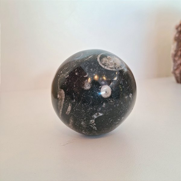 Esfera Fóssil Orthocera Polida