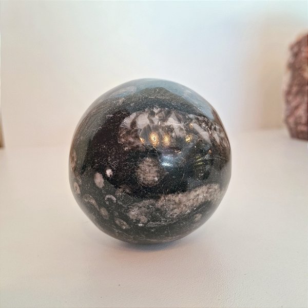 Esfera Fóssil Orthocera Polida