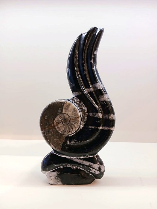 Escultura Fóssil Orthocera Polida