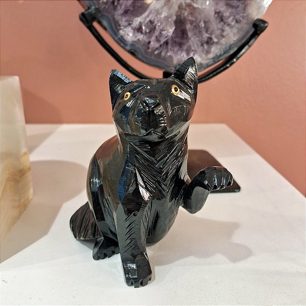 Gato Obsidiana Negra