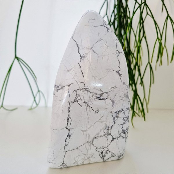 Forma-Livre Howlita Polida - Base Serrada