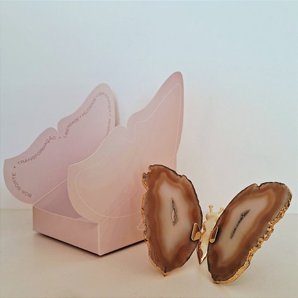 Borboleta Ágata Marrom - Borda Dourada - Coleção Asas