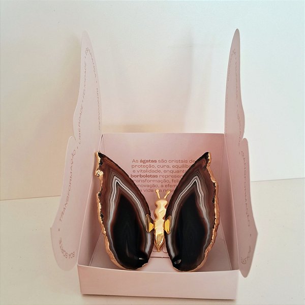 Borboleta Ágata Marrom - Borda Dourada - Coleção Asas