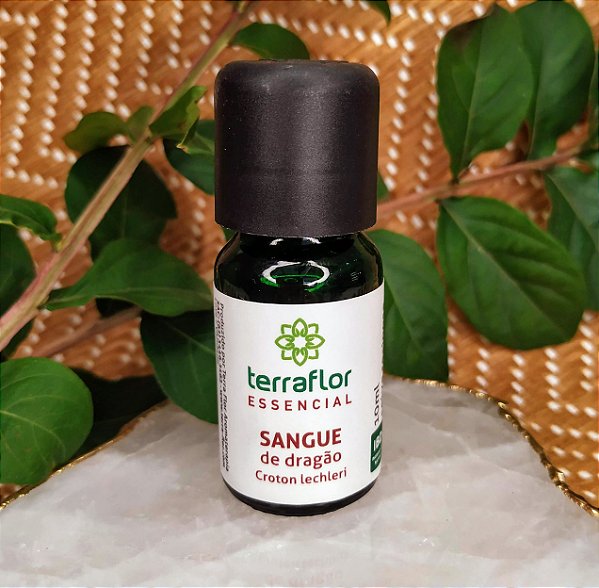 Sangue de Dragão - Seiva Medicinal da Floresta