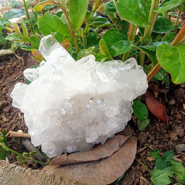 Drusa de Cristal de Quartzo
