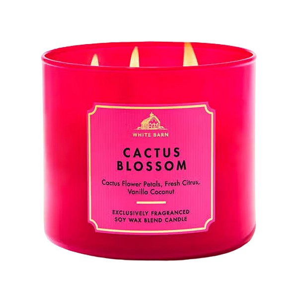Bath Body & Works - Vela Aromática 3 Pavios Cactus Blossom