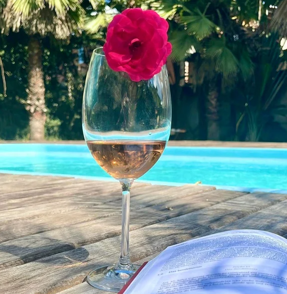 TAÇA DE CRISTAL ECOLÓGICO GASTRO PARA VINHO 450ML - WOLFF