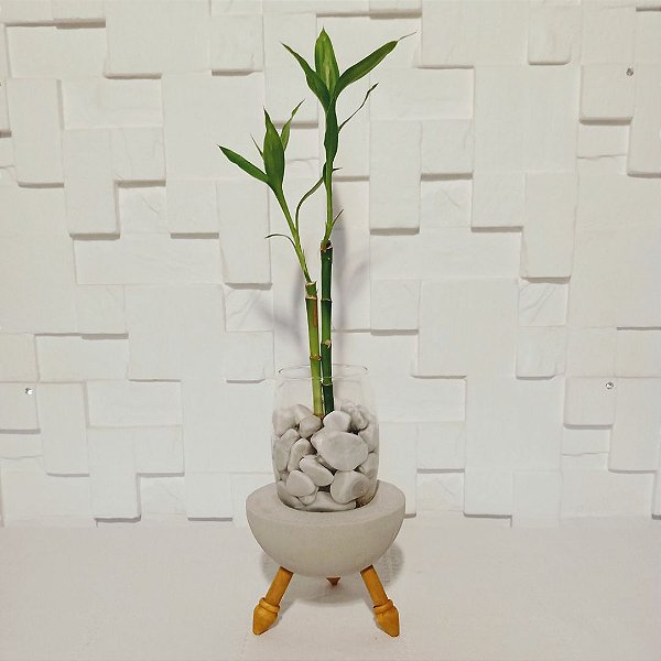 Bambu da sorte com suporte rústico